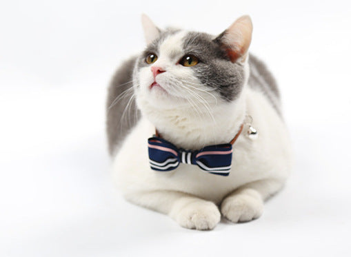 Katzen Krawatte